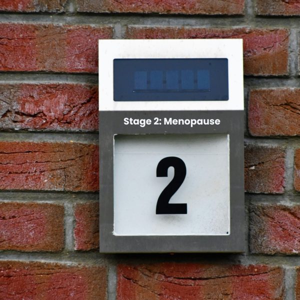 Stage 2: Menopause