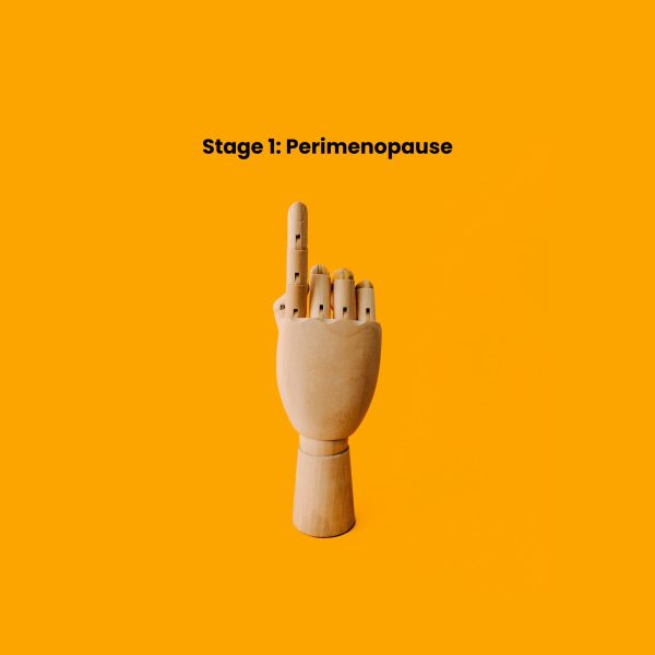 Stages of Menopause - Understanding Perimenopause, Menopause, and Postmenopause | Menopause Support & Symptoms